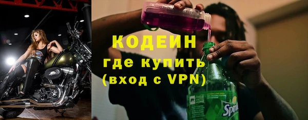 шишки Переславль-Залесский