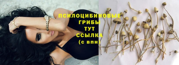 прущие грибы Остров