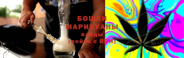 дмт Осташков