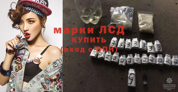 шишки Переславль-Залесский