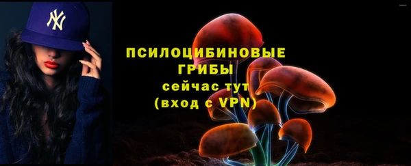 шишки Переславль-Залесский