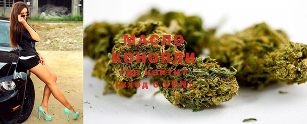 крисы Осинники