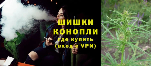 шишки Переславль-Залесский
