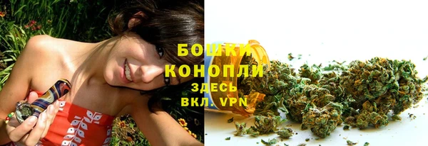 крисы Осинники