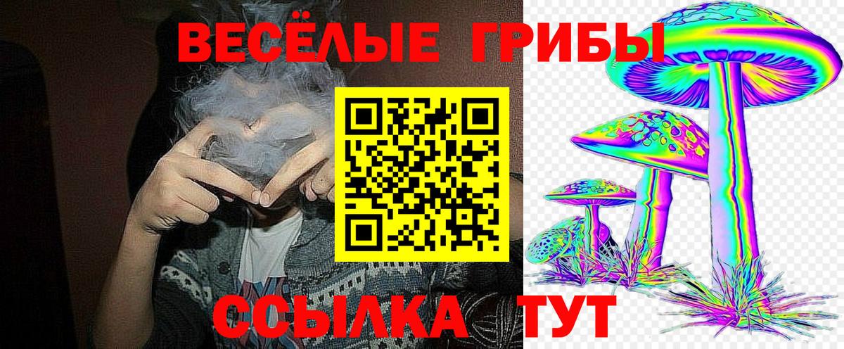 закладки  Псилоцибиновые грибы Cubensis  Верхняя Салда  Псилоцибиновые грибы Magic Shrooms 